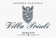 Villa Priuli - Boscain
